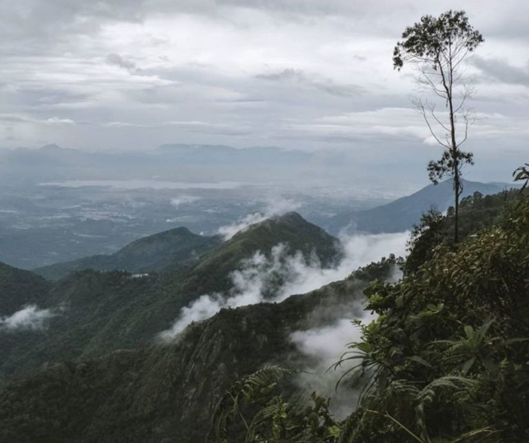 kodai hill view