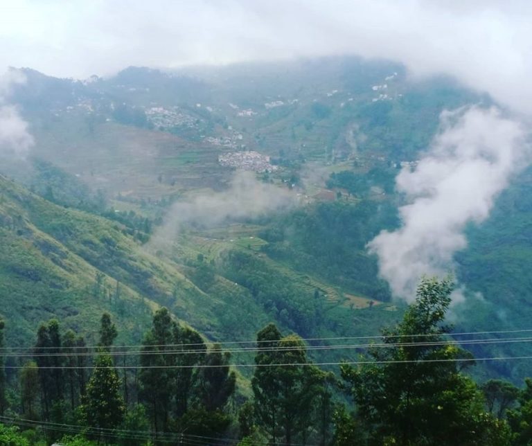 kodai view