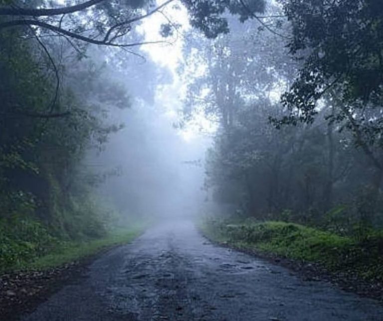 kodaikanal tour package for 2 days