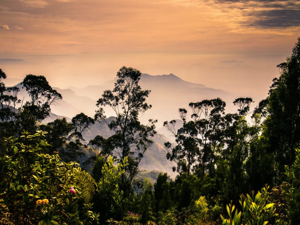 kodaikanal tour packages for 2 days