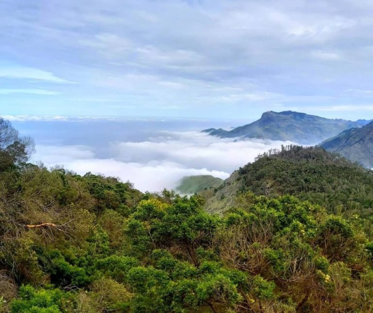kodaikanal mountains 1