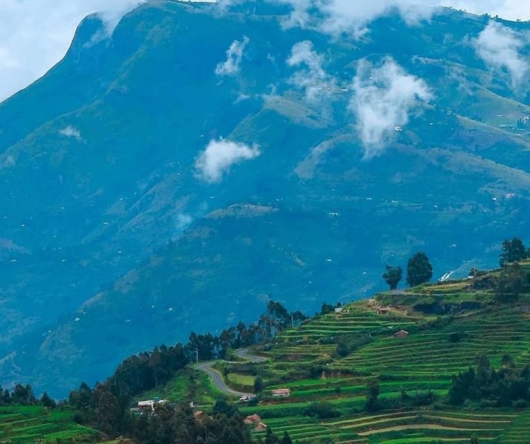 kodaikanal poombarai