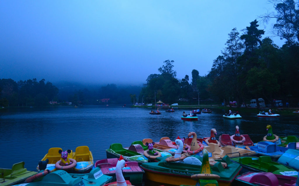 kodai tour packages for 2 days