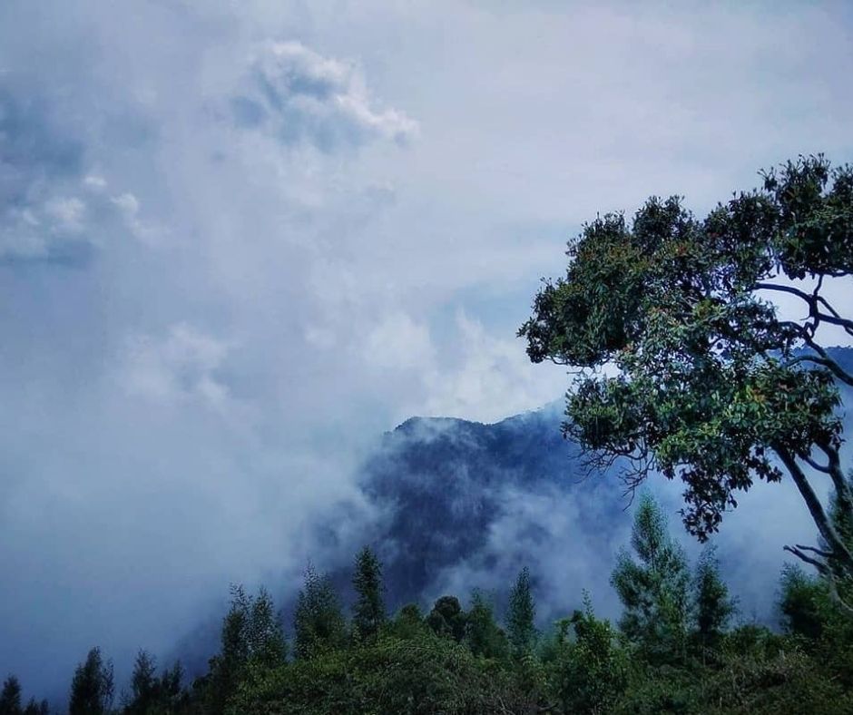 places to visit in kodaikanal in 2 days
