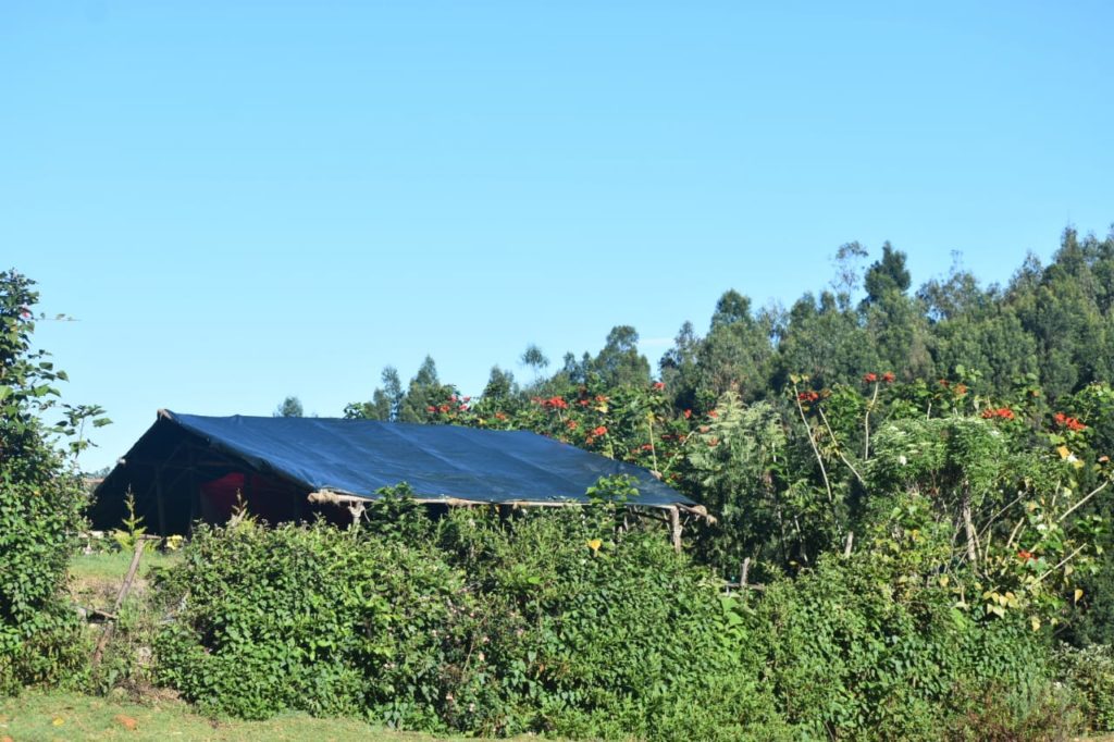 camping in kodaikanal