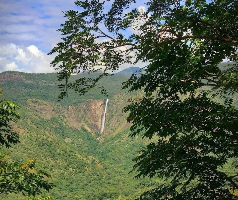rat tail falls kodaikanal