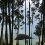 kodai trike tree tent view